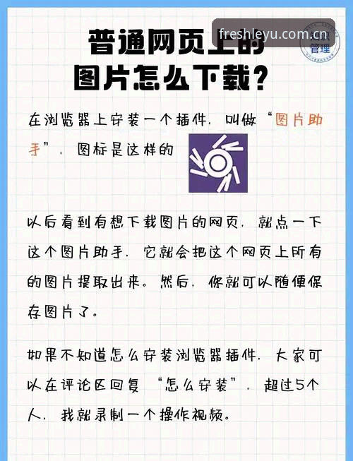 新版玩出新鲜感下载怎么下载 如何正确下载“新版玩出新鲜感”?一个技术细节决定你的使用体验